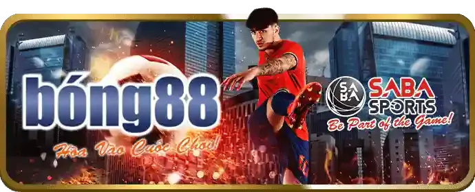 Tiền thưởng chào mừng thành viên mới vin99 nhà cái